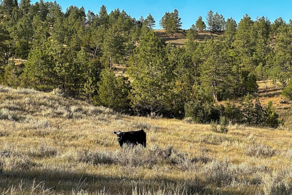 979 Bitter Creek Road, Recluse, WY 82725 photo 17