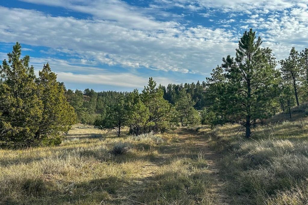 979 Bitter Creek Road, Recluse, WY 82725 photo 19