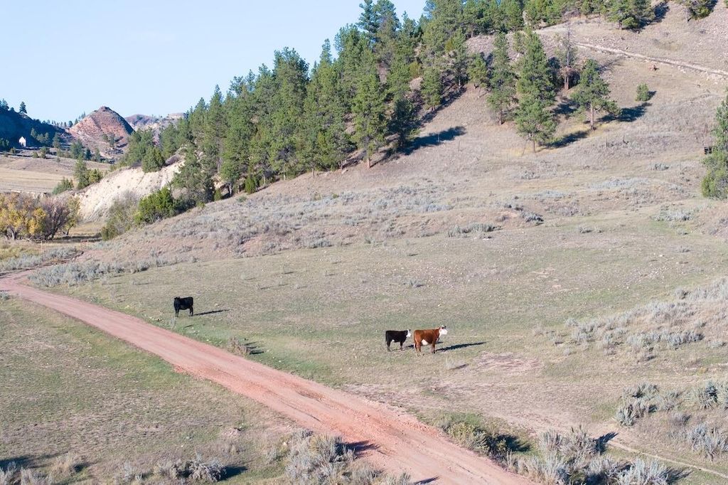 979 Bitter Creek Road, Recluse, WY 82725 photo 30