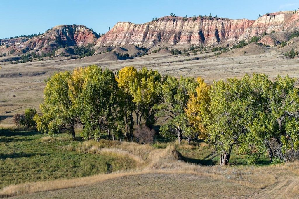 979 Bitter Creek Road, Recluse, WY 82725 photo 6
