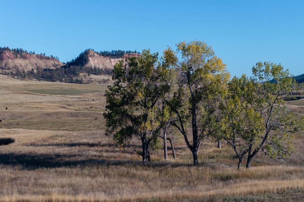 979 Bitter Creek Road, Recluse, WY 82725 photo 7