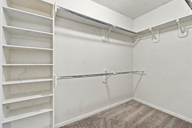 4001 Hazelwood Drive, Pearland, TX 77584