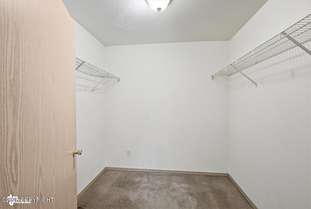 265 N Tatlow Drive, Palmer, AK 99645