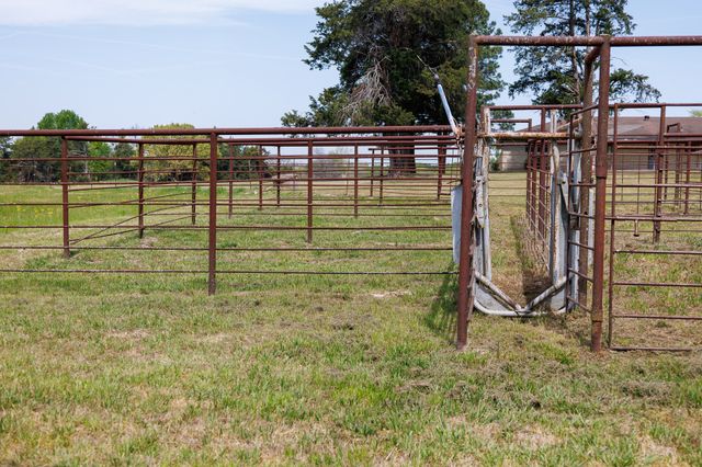 411 County Road 4313, Ben Wheeler, TX 75754