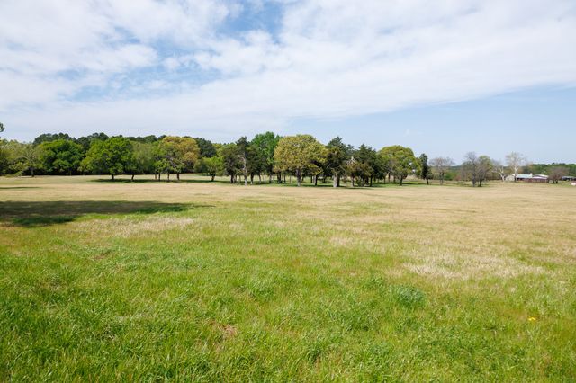 411 County Road 4313, Ben Wheeler, TX 75754