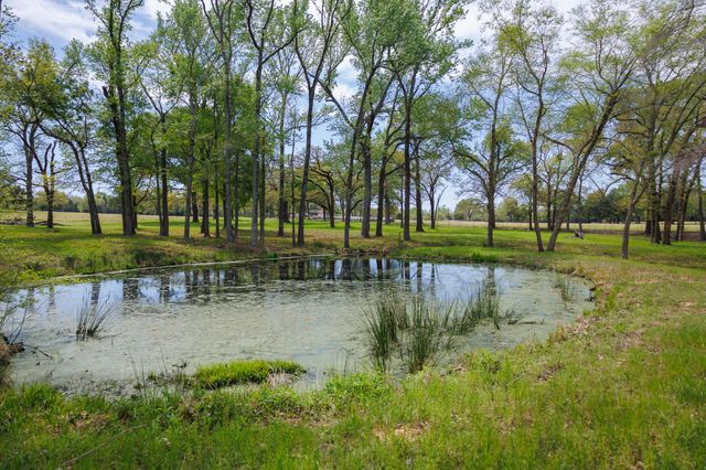 411 County Road 4313, Ben Wheeler, TX 75754