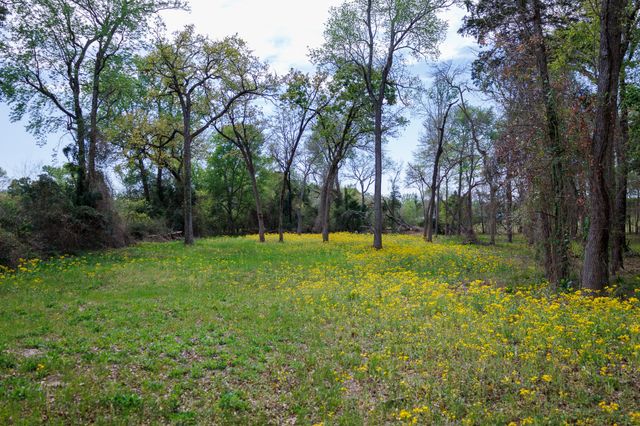 411 County Road 4313, Ben Wheeler, TX 75754
