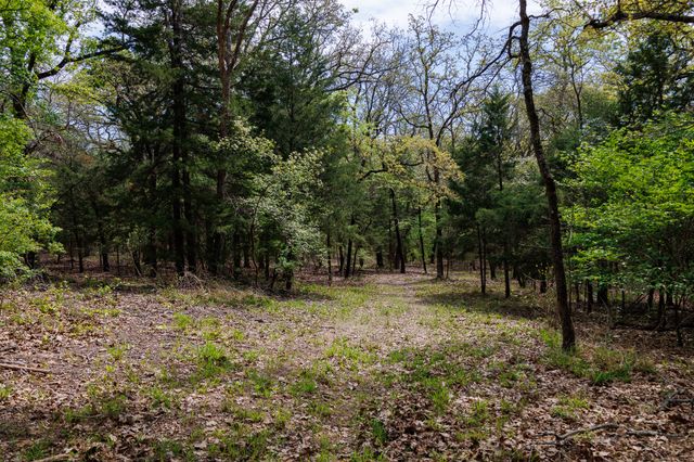411 County Road 4313, Ben Wheeler, TX 75754
