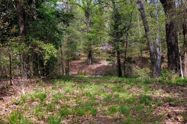 411 County Road 4313, Ben Wheeler, TX 75754