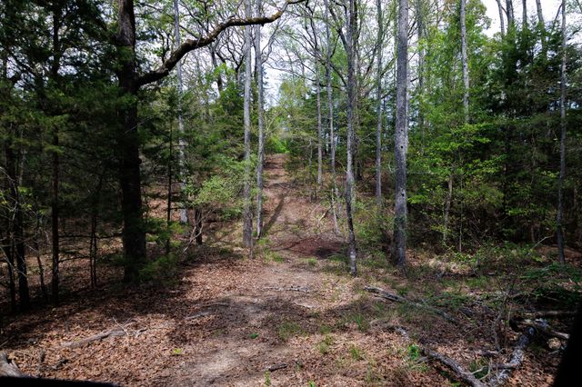 411 County Road 4313, Ben Wheeler, TX 75754