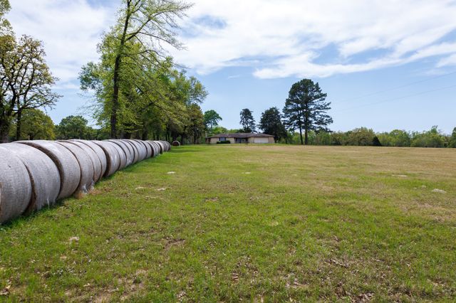 411 County Road 4313, Ben Wheeler, TX 75754