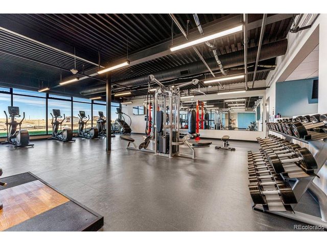 4039 Descent St, Castle Rock, CO 80108