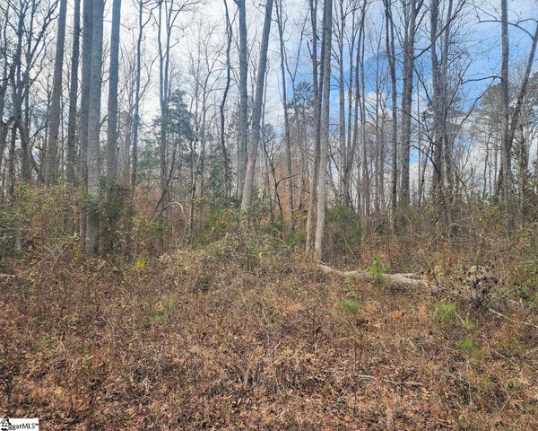 3068 Warrior Creek Church Road, Gray Court, SC 29645