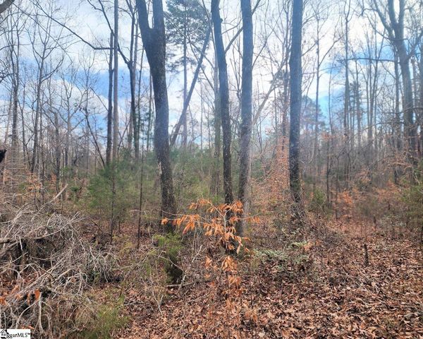 3068 Warrior Creek Church Road, Gray Court, SC 29645