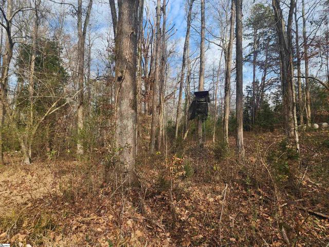 3068 Warrior Creek Church Road, Gray Court, SC 29645