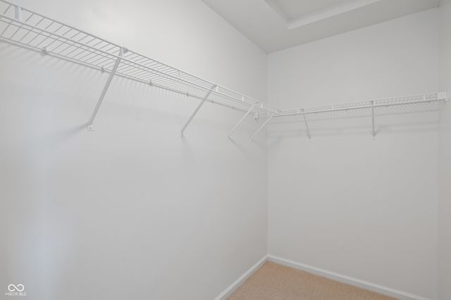 2310 Liatris Drive, Plainfield, IN 46168