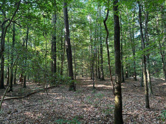 0 Swamp Fox Drive, Summerville, SC 29485