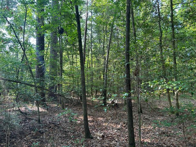 0 Swamp Fox Drive, Summerville, SC 29485