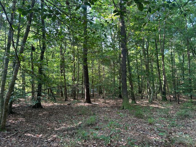0 Swamp Fox Drive, Summerville, SC 29485