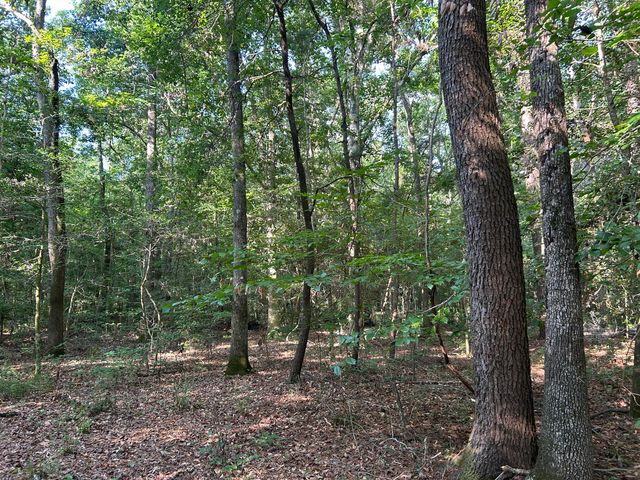 0 Swamp Fox Drive, Summerville, SC 29485