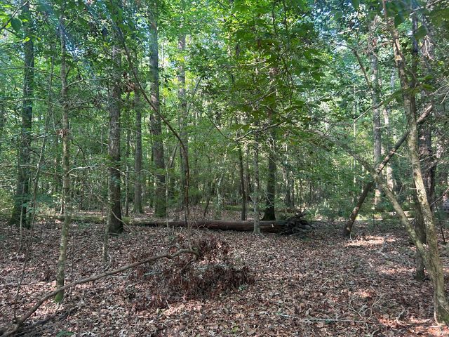 0 Swamp Fox Drive, Summerville, SC 29485