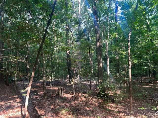 0 Swamp Fox Drive, Summerville, SC 29485