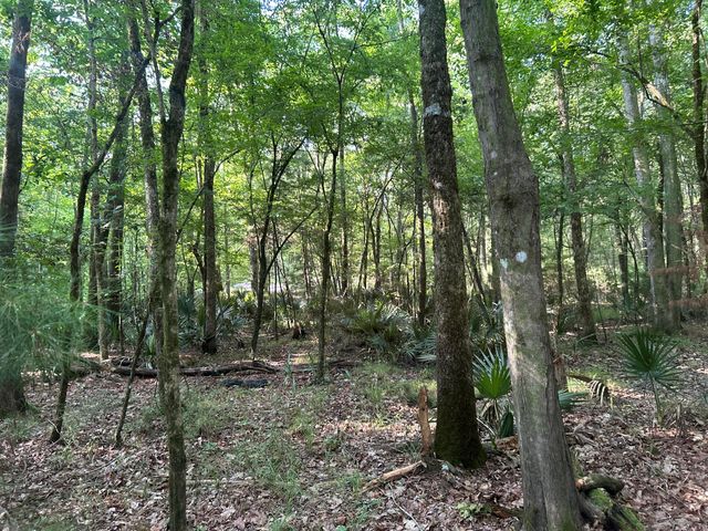 0 Swamp Fox Drive, Summerville, SC 29485