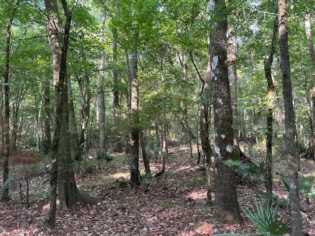 0 Swamp Fox Drive, Summerville, SC 29485