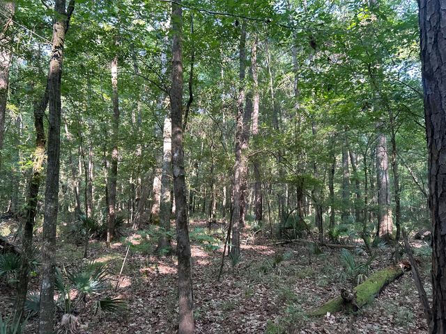 0 Swamp Fox Drive, Summerville, SC 29485
