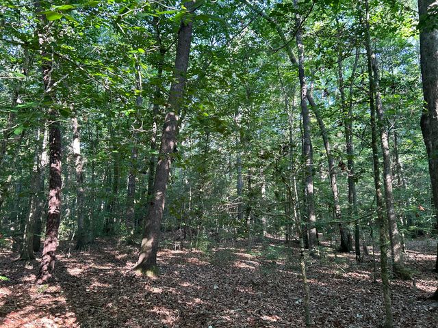 0 Swamp Fox Drive, Summerville, SC 29485