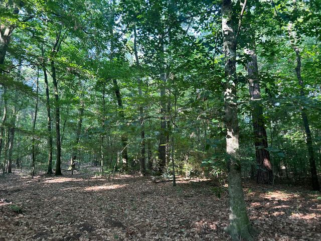 0 Swamp Fox Drive, Summerville, SC 29485