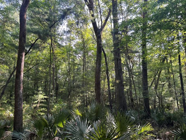 0 Swamp Fox Drive, Summerville, SC 29485