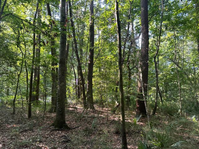 0 Swamp Fox Drive, Summerville, SC 29485
