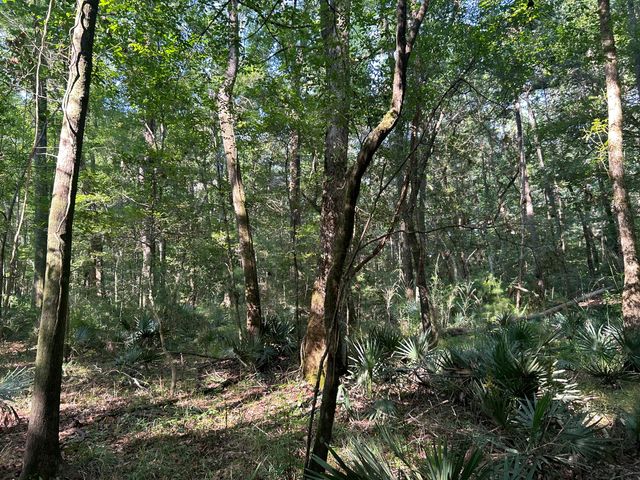 0 Swamp Fox Drive, Summerville, SC 29485