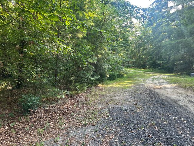 0 Swamp Fox Drive, Summerville, SC 29485