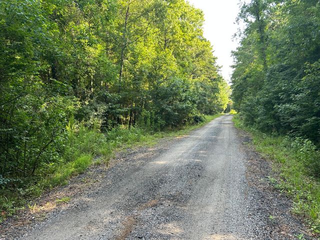 0 Swamp Fox Drive, Summerville, SC 29485