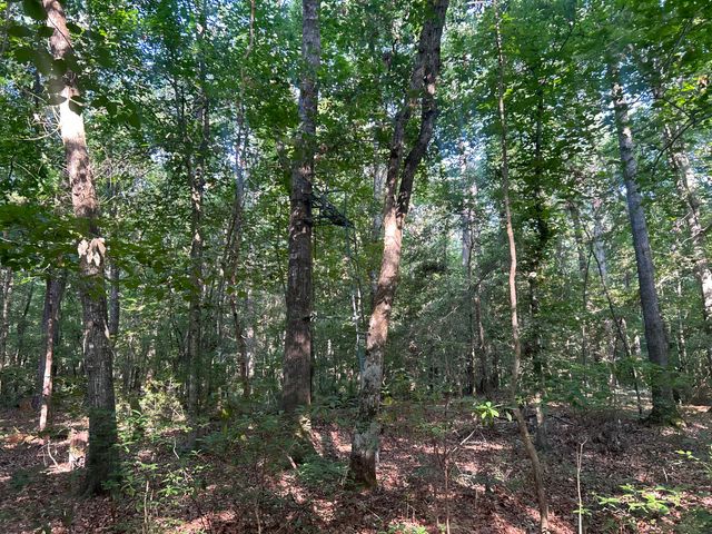 0 Swamp Fox Drive, Summerville, SC 29485