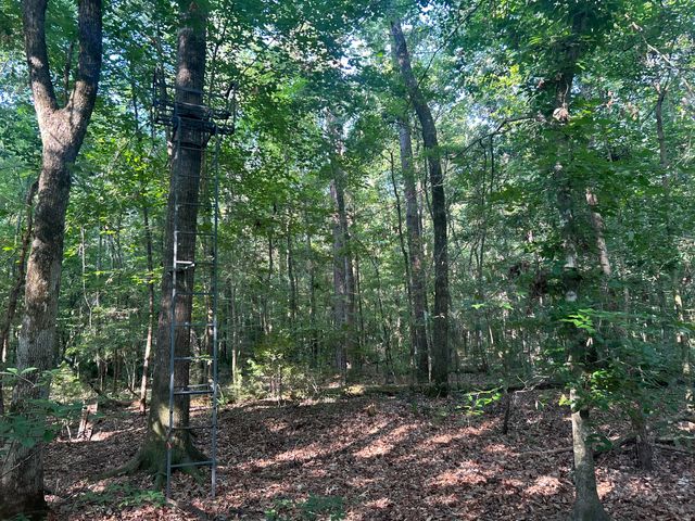 0 Swamp Fox Drive, Summerville, SC 29485