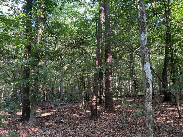 0 Swamp Fox Drive, Summerville, SC 29485