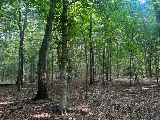 0 Swamp Fox Drive, Summerville, SC 29485