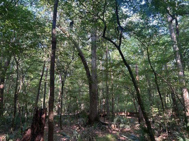 0 Swamp Fox Drive, Summerville, SC 29485