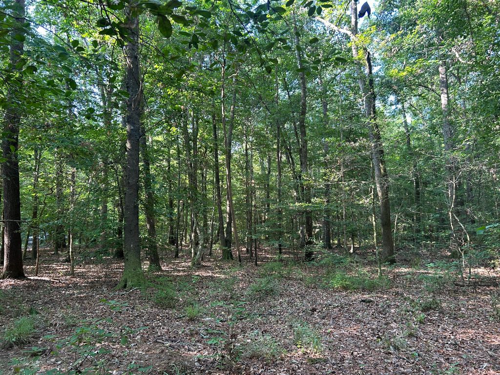 0 Swamp Fox Drive, Summerville, SC 29485