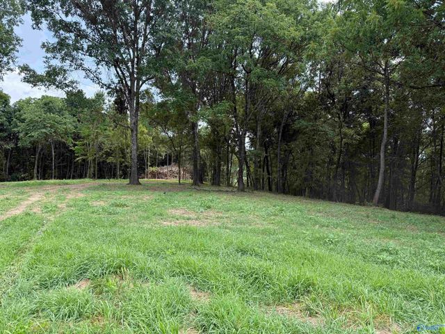 12 Acres Bunker Hill Road, Pulaski, TN 38478