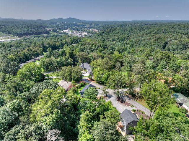 239 Lucille Avenue, Ellijay, GA 30540