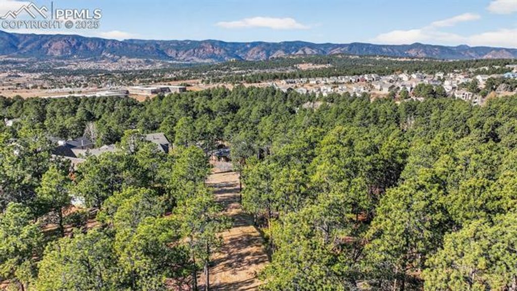 1380 Buckwood Lane, Monument, CO 80132 — photo 2