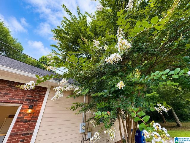 204 HAZEL CREEK TRAIL, Anniston, AL 36207