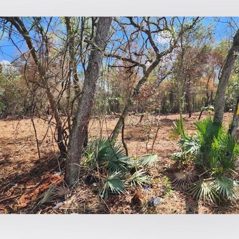 20445 SE 156TH ST STREET, Umatilla, FL 32784