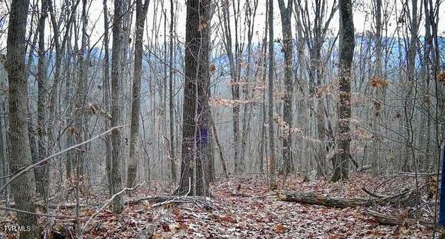 214 Rilke Ct Court, Johnson City, TN 37604