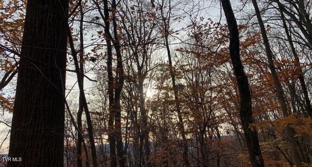 214 Rilke Ct Court, Johnson City, TN 37604