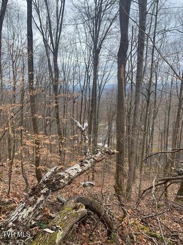 214 Rilke Ct Court, Johnson City, TN 37604